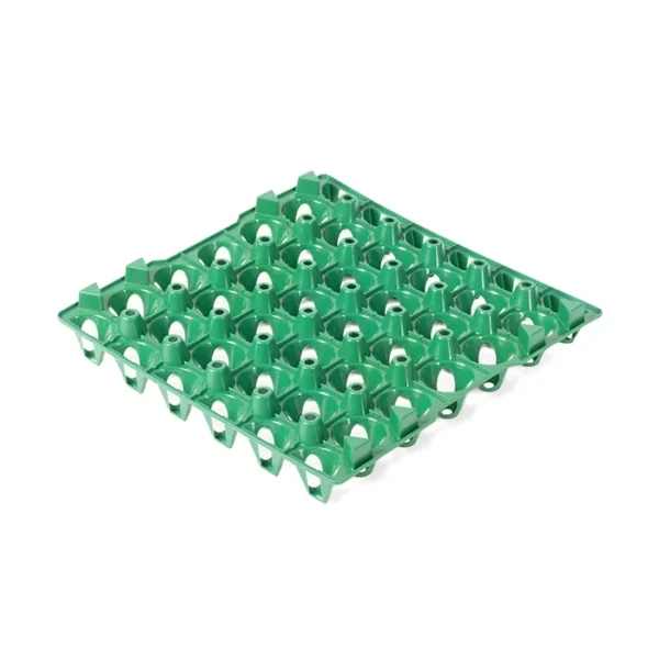 Egg Tray EC02 – naturalpalantation.lk