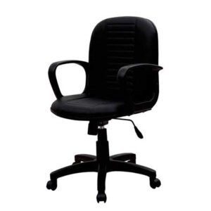 ECL-001R (Low back Chair)