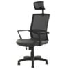 ECH-008 (Flexy High Back Chair)